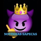 NOVINHAS SAPECAS FREE