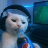 SÓ PUTARIA CASEIRA 2.9